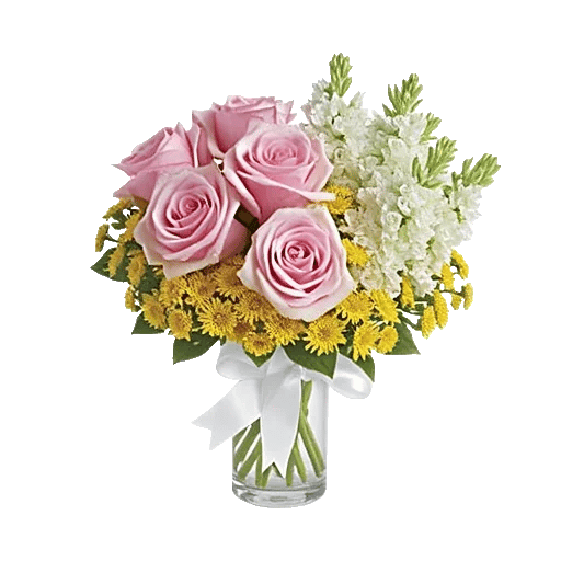 Pink Pastel Roses