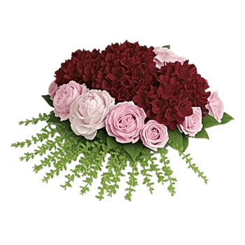 Petal Radiance Bliss