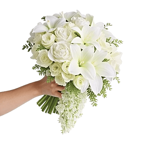 Orchid Bloom Cascade