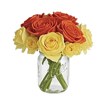 Autumnal Rose Blend
