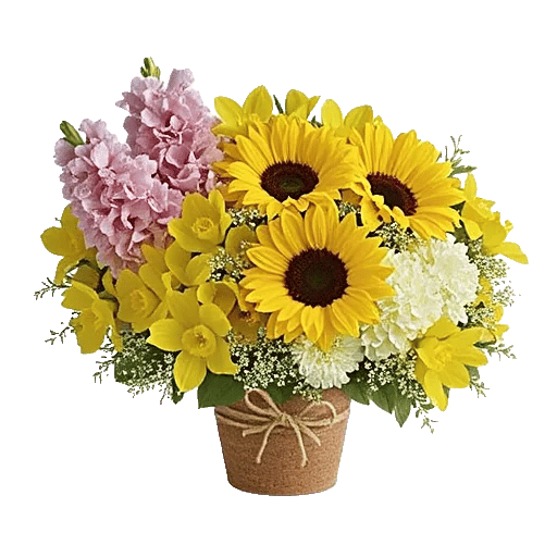 Amber Sunflower Glow