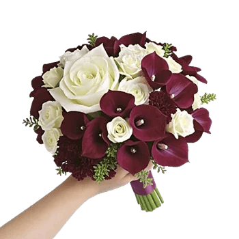 Blushing Rose Symphony