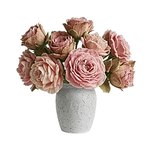 Ivory Blossom Radiance