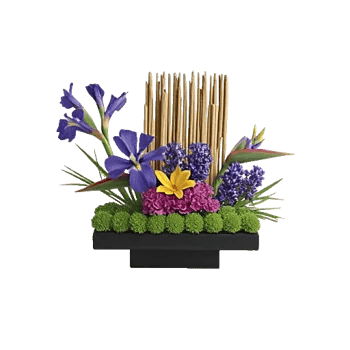 Modern White Orchids