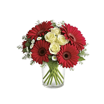 Petal Radiance Bliss