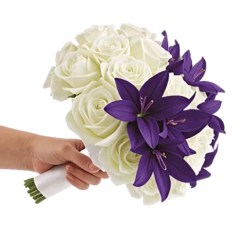 Blushing Rose Symphony