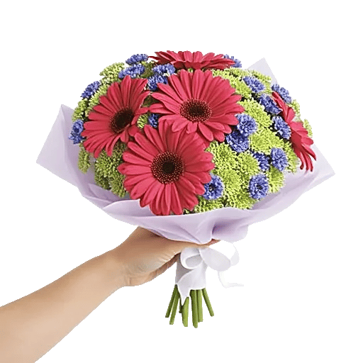 Coral Blossom Harmony