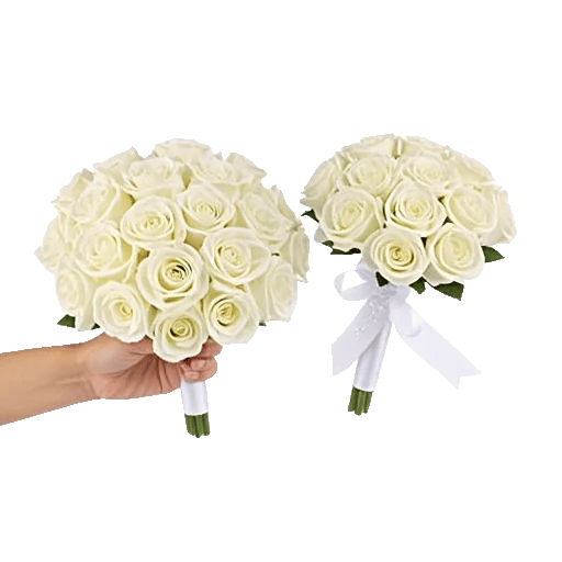 Ivory Garden Grace