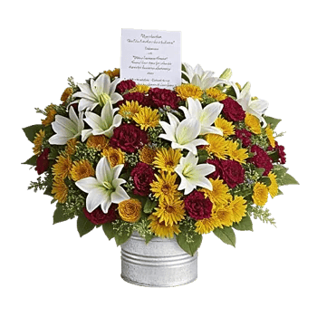 Graceful Lily Display