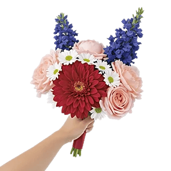 Coral Blossom Harmony