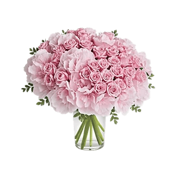 Serene Petal Harmony