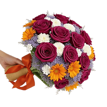 Blushing Rose Symphony