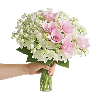 Ivory Blossom Radiance