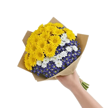 Delicate Petal Cascade