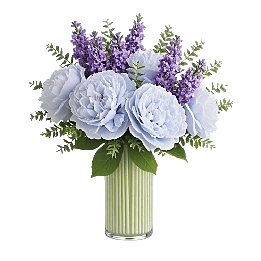 Petal Radiance Bliss