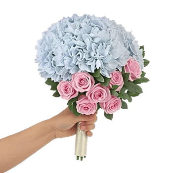 Delicate Petal Cascade