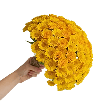 Blossom Harmony Display