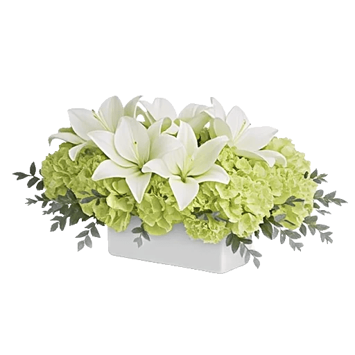 Graceful Lily Display