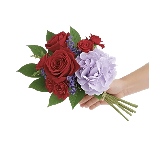 Crimson Rose Elegance