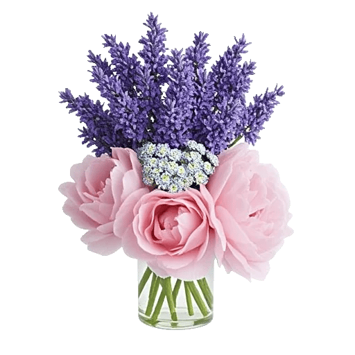 Lavender Bloom Grace