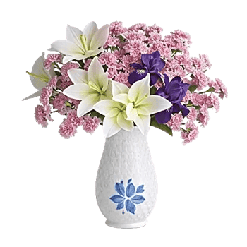 Ivory Blossom Radiance