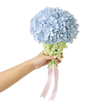 Delicate Petal Cascade