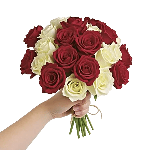 Crimson Rose Elegance