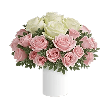 Radiant Rose Symphony