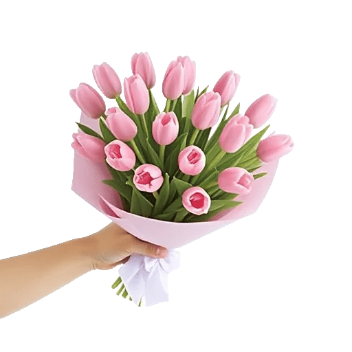 Velvet Tulip Display