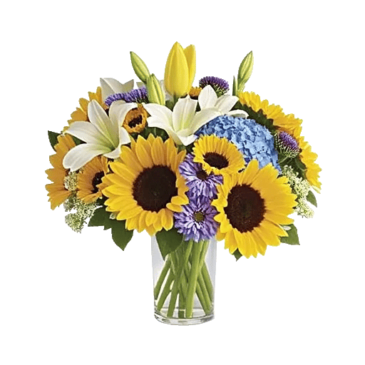 Ivory Blossom Radiance