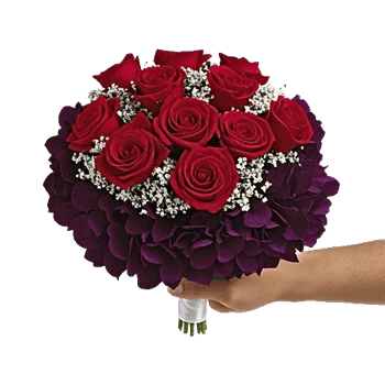 Radiant Rose Symphony