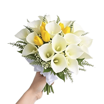 Elegant Calla Lilies