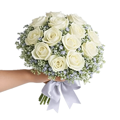 Ivory Garden Grace