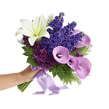 Elegant Calla Lilies