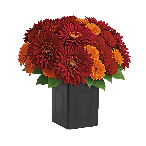 Crimson Blossom Harmony