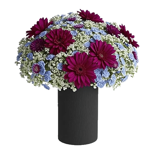 Ivory Blossom Radiance