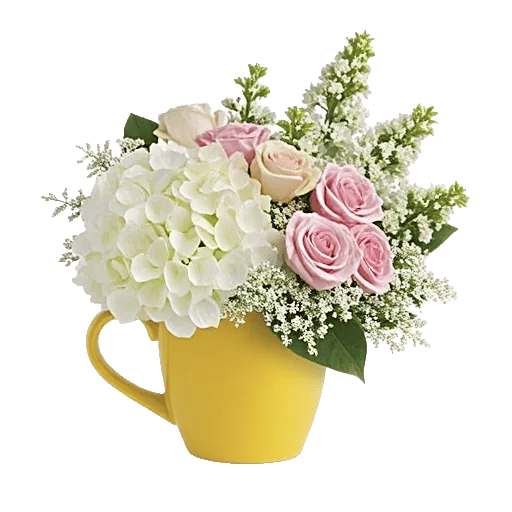 Serene Petal Harmony