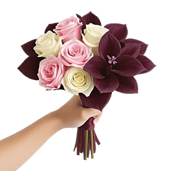 Blushing Rose Symphony