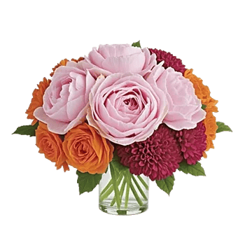 Petal Radiance Bliss