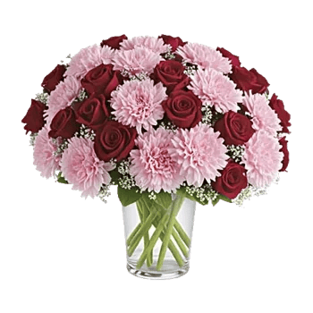 Pink Pastel Roses