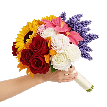 Blushing Rose Symphony