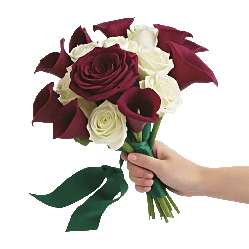 Blushing Rose Symphony