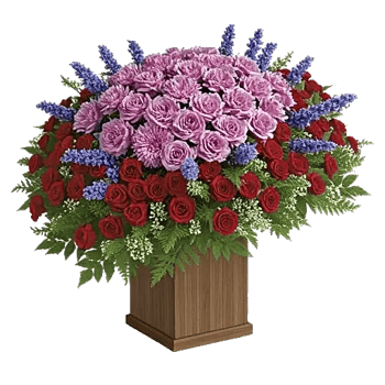 Lavender Bloom Grace