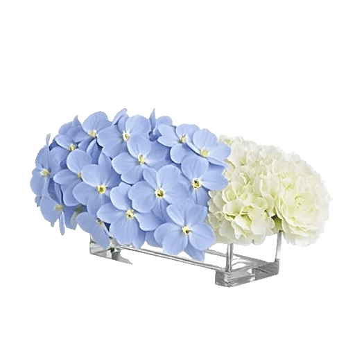 Orchid Bloom Cascade