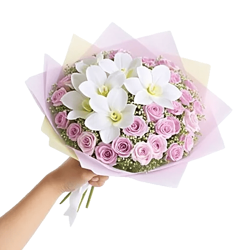 Serenity Orchid Bloom