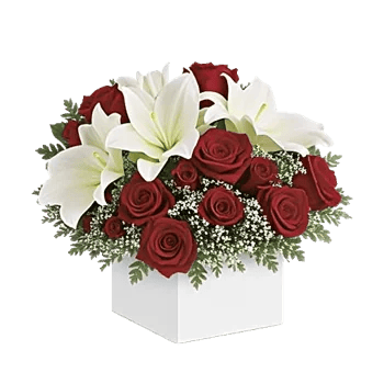 Crimson Rose Elegance