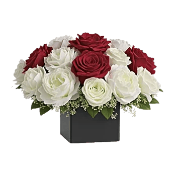 Crimson Rose Elegance