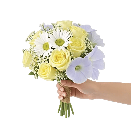 Dewy Morning Blossoms