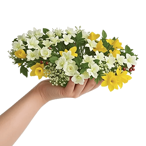 Ivory Blossom Radiance