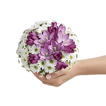 Delicate Petal Cascade